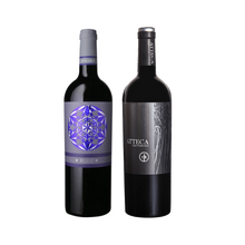 Load image into Gallery viewer, Zoom Gil Family Spanish Wine Tasting Pack