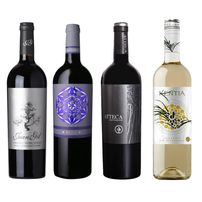 Zoom Gil Family Spanish Wine Tasting Pack