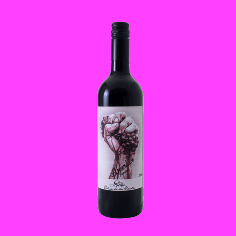 Vinedo de los Vientos "Anarkia" Tannat