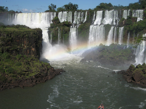 High Altitude Wines of Argentina