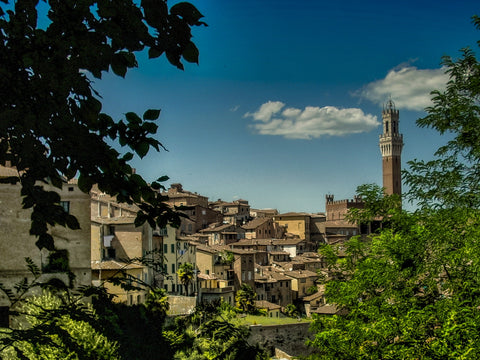 Tuscan Wines and Cheese