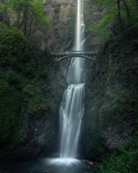 Wines of Oregon