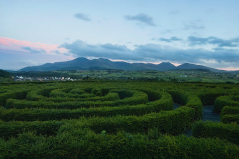 Whiskies of Ireland