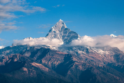 Mountainous Merlots and Malbecs