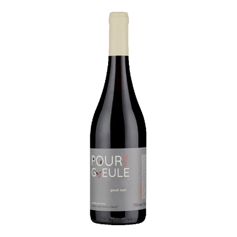 Clos des Fous Pinot Noir Pour ma Gueule