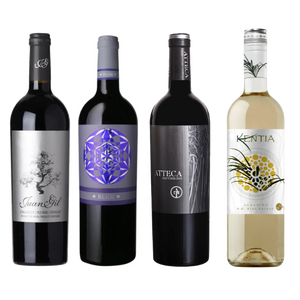 Zoom Gil Family Spanish Wine Tasting Pack