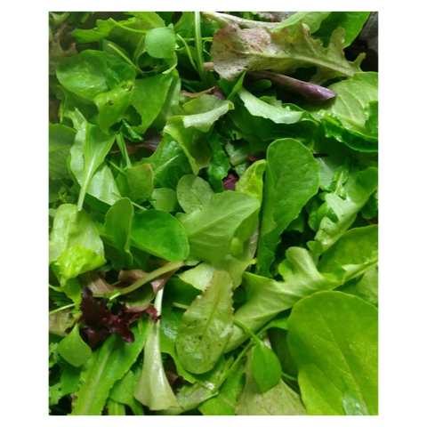 Kingfisher Farm Mixed Salad Greens