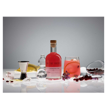 Load image into Gallery viewer, Zoom On the Rocks Cocktail Tasting Pack