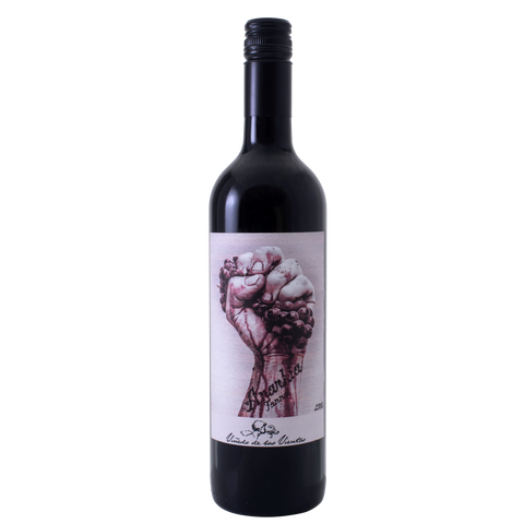 Vinedo de los Vientos "Anarkia" Tannat