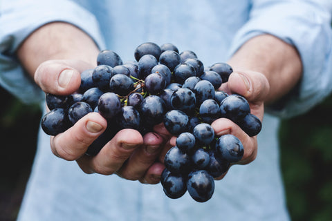 Italy's Noble Nebbiolo Wines & Emmi Roth Cheese